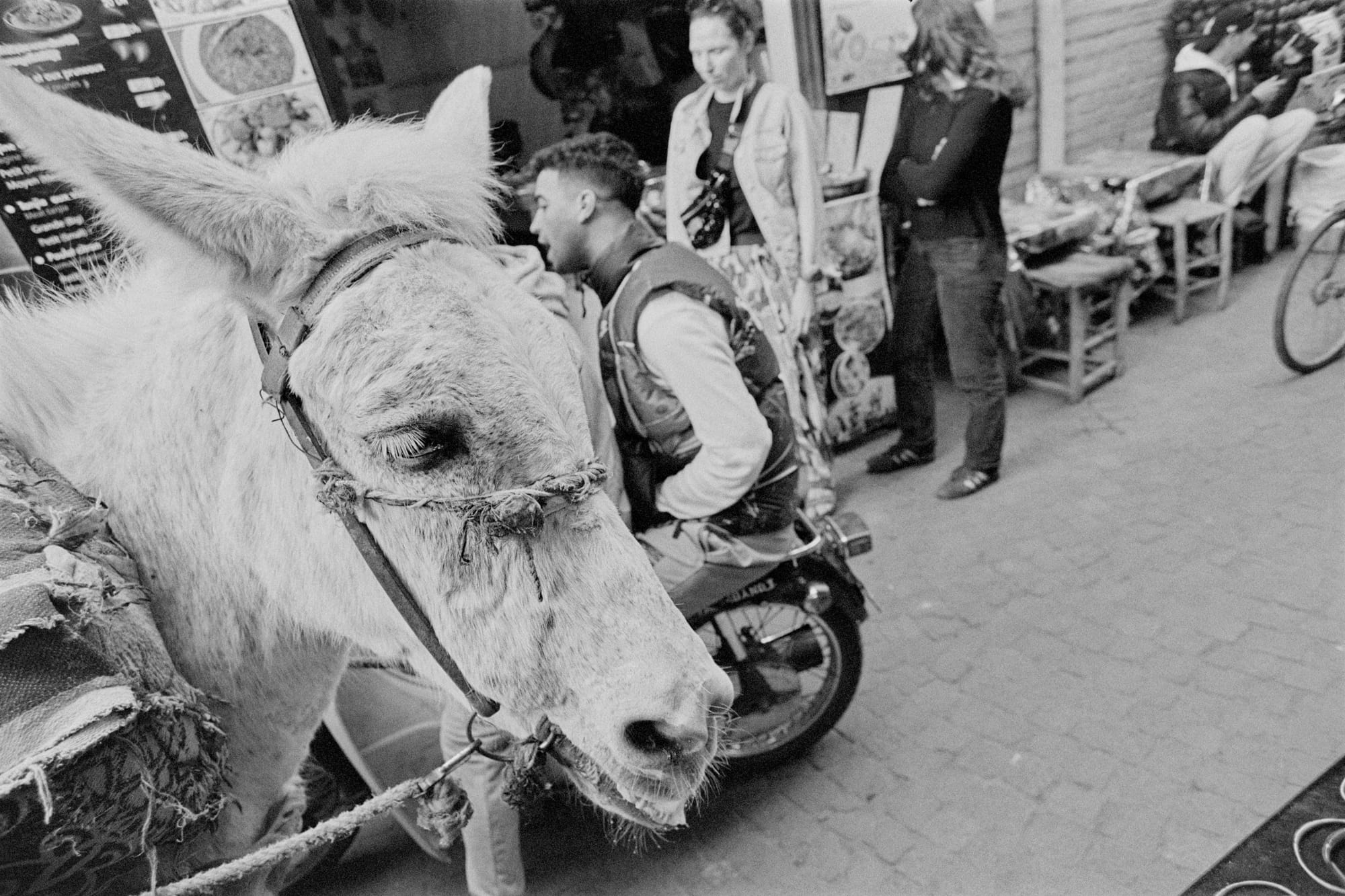 Souks of Marrakesh